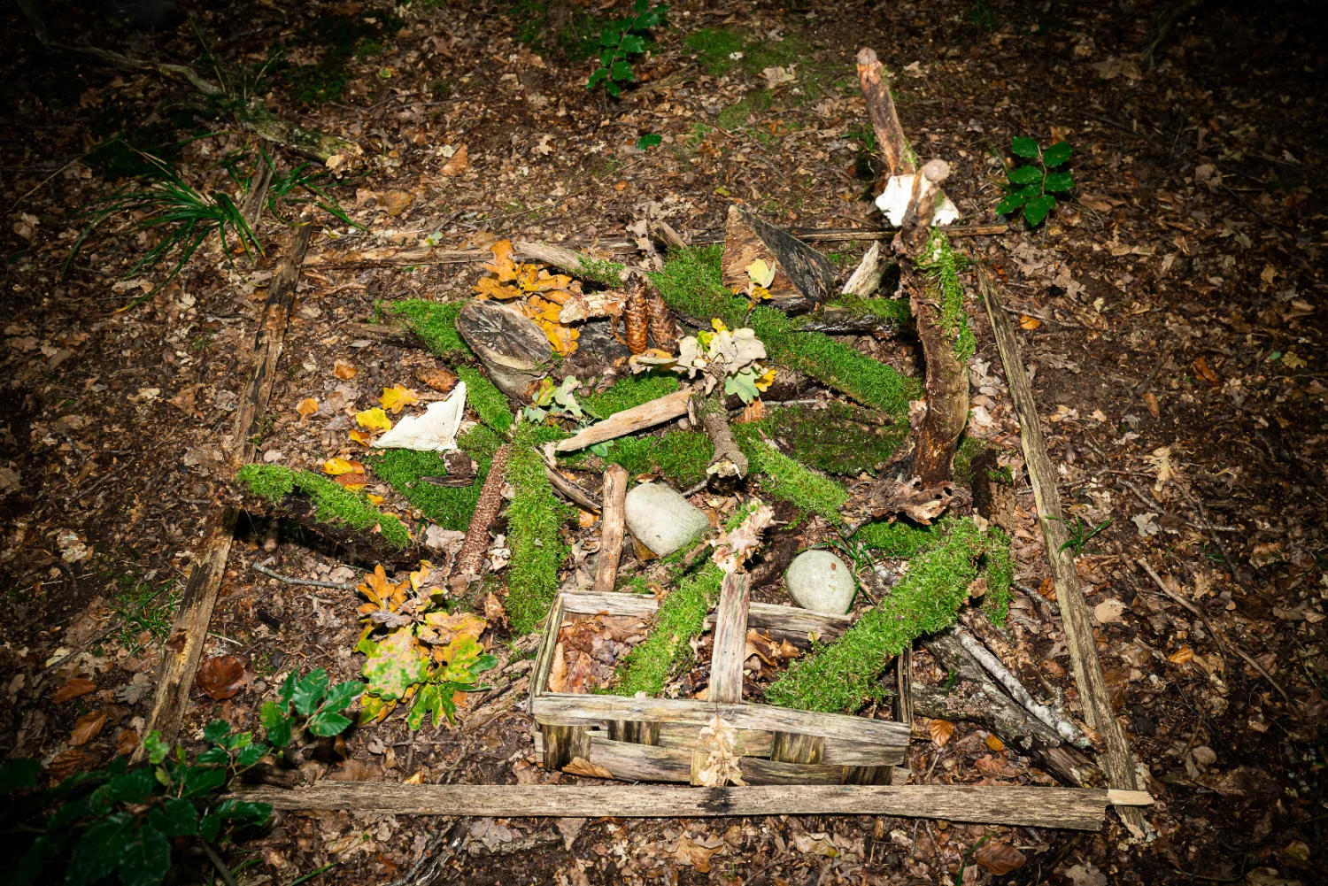 Land Art Der Waldmann